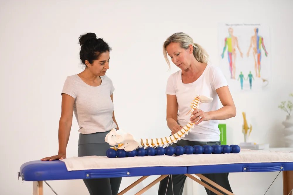 物理治疗师以放在 SPINEFITTER 上的脊柱模型讲解脊椎排列