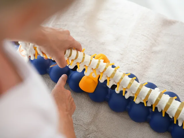 脊柱模型放在 SPINEFITTER 上，显示两排球体分别位于脊椎两侧