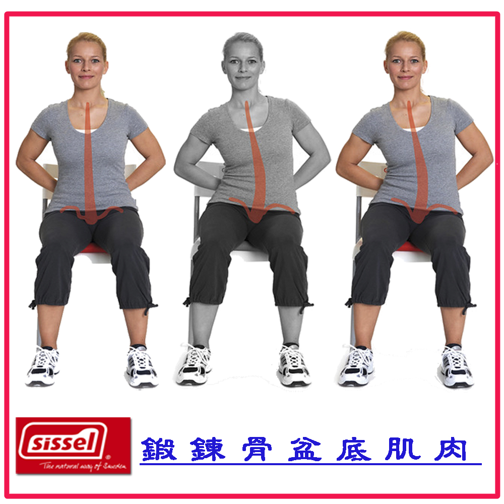 SITFIT PLUS® 37 cm 坐姿矫正垫进阶款 - 图片 3